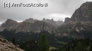 [P36]  -- <small>// FĂRĂ DESCRIERE</small> » foto by elenaadina
 - 
<span class="allrVoted glyphicon glyphicon-heart hidden" id="av1511676"></span>
<a class="m-l-10 hidden" id="sv1511676" onclick="voting_Foto_DelVot(,1511676,29209)" role="button">șterge vot <span class="glyphicon glyphicon-remove"></span></a>
<a id="v91511676" class=" c-red"  onclick="voting_Foto_SetVot(1511676)" role="button"><span class="glyphicon glyphicon-heart-empty"></span> <b>LIKE</b> = Votează poza</a> <img class="hidden"  id="f1511676W9" src="/imagini/loader.gif" border="0" /><span class="AjErrMes hidden" id="e1511676ErM"></span>