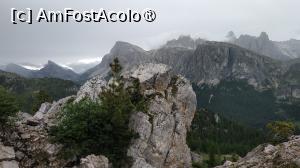 [P43]  -- <small>// FĂRĂ DESCRIERE</small> » foto by elenaadina
 - 
<span class="allrVoted glyphicon glyphicon-heart hidden" id="av1511683"></span>
<a class="m-l-10 hidden" id="sv1511683" onclick="voting_Foto_DelVot(,1511683,29209)" role="button">șterge vot <span class="glyphicon glyphicon-remove"></span></a>
<a id="v91511683" class=" c-red"  onclick="voting_Foto_SetVot(1511683)" role="button"><span class="glyphicon glyphicon-heart-empty"></span> <b>LIKE</b> = Votează poza</a> <img class="hidden"  id="f1511683W9" src="/imagini/loader.gif" border="0" /><span class="AjErrMes hidden" id="e1511683ErM"></span>