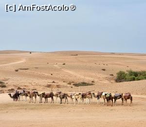 [P06] Desert Maroc » foto by ManuelaManu
 - 
<span class="allrVoted glyphicon glyphicon-heart hidden" id="av1514507"></span>
<a class="m-l-10 hidden" id="sv1514507" onclick="voting_Foto_DelVot(,1514507,29224)" role="button">șterge vot <span class="glyphicon glyphicon-remove"></span></a>
<a id="v91514507" class=" c-red"  onclick="voting_Foto_SetVot(1514507)" role="button"><span class="glyphicon glyphicon-heart-empty"></span> <b>LIKE</b> = Votează poza</a> <img class="hidden"  id="f1514507W9" src="/imagini/loader.gif" border="0" /><span class="AjErrMes hidden" id="e1514507ErM"></span>