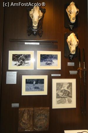 [P16] Sala nr. 4 -dedicată vânatului mare » foto by Claudiu U.
 - 
<span class="allrVoted glyphicon glyphicon-heart hidden" id="av1514655"></span>
<a class="m-l-10 hidden" id="sv1514655" onclick="voting_Foto_DelVot(,1514655,29226)" role="button">șterge vot <span class="glyphicon glyphicon-remove"></span></a>
<a id="v91514655" class=" c-red"  onclick="voting_Foto_SetVot(1514655)" role="button"><span class="glyphicon glyphicon-heart-empty"></span> <b>LIKE</b> = Votează poza</a> <img class="hidden"  id="f1514655W9" src="/imagini/loader.gif" border="0" /><span class="AjErrMes hidden" id="e1514655ErM"></span>