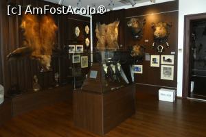 [P21] Sala nr. 4 -dedicată vânatului mare » foto by Claudiu U.
 - 
<span class="allrVoted glyphicon glyphicon-heart hidden" id="av1514660"></span>
<a class="m-l-10 hidden" id="sv1514660" onclick="voting_Foto_DelVot(,1514660,29226)" role="button">șterge vot <span class="glyphicon glyphicon-remove"></span></a>
<a id="v91514660" class=" c-red"  onclick="voting_Foto_SetVot(1514660)" role="button"><span class="glyphicon glyphicon-heart-empty"></span> <b>LIKE</b> = Votează poza</a> <img class="hidden"  id="f1514660W9" src="/imagini/loader.gif" border="0" /><span class="AjErrMes hidden" id="e1514660ErM"></span>