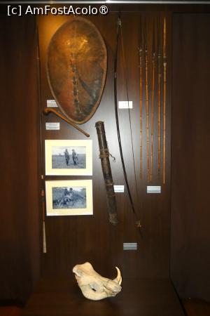 [P27] Ultima sală -exponate din Africa » foto by Claudiu U.
 - 
<span class="allrVoted glyphicon glyphicon-heart hidden" id="av1514666"></span>
<a class="m-l-10 hidden" id="sv1514666" onclick="voting_Foto_DelVot(,1514666,29226)" role="button">șterge vot <span class="glyphicon glyphicon-remove"></span></a>
<a id="v91514666" class=" c-red"  onclick="voting_Foto_SetVot(1514666)" role="button"><span class="glyphicon glyphicon-heart-empty"></span> <b>LIKE</b> = Votează poza</a> <img class="hidden"  id="f1514666W9" src="/imagini/loader.gif" border="0" /><span class="AjErrMes hidden" id="e1514666ErM"></span>