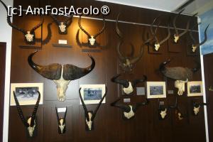 [P28] Ultima sală -exponate din Africa » foto by Claudiu U.
 - 
<span class="allrVoted glyphicon glyphicon-heart hidden" id="av1514667"></span>
<a class="m-l-10 hidden" id="sv1514667" onclick="voting_Foto_DelVot(,1514667,29226)" role="button">șterge vot <span class="glyphicon glyphicon-remove"></span></a>
<a id="v91514667" class=" c-red"  onclick="voting_Foto_SetVot(1514667)" role="button"><span class="glyphicon glyphicon-heart-empty"></span> <b>LIKE</b> = Votează poza</a> <img class="hidden"  id="f1514667W9" src="/imagini/loader.gif" border="0" /><span class="AjErrMes hidden" id="e1514667ErM"></span>