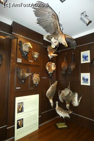 [P05] Cea de-a doua sală -zona păsărilor » foto by Claudiu U.
 - 
<span class="allrVoted glyphicon glyphicon-heart hidden" id="av1514644"></span>
<a class="m-l-10 hidden" id="sv1514644" onclick="voting_Foto_DelVot(,1514644,29226)" role="button">șterge vot <span class="glyphicon glyphicon-remove"></span></a>
<a id="v91514644" class=" c-red"  onclick="voting_Foto_SetVot(1514644)" role="button"><span class="glyphicon glyphicon-heart-empty"></span> <b>LIKE</b> = Votează poza</a> <img class="hidden"  id="f1514644W9" src="/imagini/loader.gif" border="0" /><span class="AjErrMes hidden" id="e1514644ErM"></span>