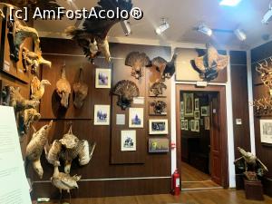 [P06] &Icirc;n fota casă al lui Spiess nu s&icirc;nt prea multe camere dar trofeel s-u expus destul de reușit și frumos aranjat » foto by AZE
 - 
<span class="allrVoted glyphicon glyphicon-heart hidden" id="av1355957"></span>
<a class="m-l-10 hidden" id="sv1355957" onclick="voting_Foto_DelVot(,1355957,29226)" role="button">șterge vot <span class="glyphicon glyphicon-remove"></span></a>
<a id="v91355957" class=" c-red"  onclick="voting_Foto_SetVot(1355957)" role="button"><span class="glyphicon glyphicon-heart-empty"></span> <b>LIKE</b> = Votează poza</a> <img class="hidden"  id="f1355957W9" src="/imagini/loader.gif" border="0" /><span class="AjErrMes hidden" id="e1355957ErM"></span>