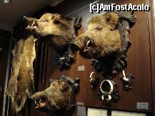 [P21] Sibiu - Muzeul de vanatoare » foto by Diaura*
 - 
<span class="allrVoted glyphicon glyphicon-heart hidden" id="av283959"></span>
<a class="m-l-10 hidden" id="sv283959" onclick="voting_Foto_DelVot(,283959,29226)" role="button">șterge vot <span class="glyphicon glyphicon-remove"></span></a>
<a id="v9283959" class=" c-red"  onclick="voting_Foto_SetVot(283959)" role="button"><span class="glyphicon glyphicon-heart-empty"></span> <b>LIKE</b> = Votează poza</a> <img class="hidden"  id="f283959W9" src="/imagini/loader.gif" border="0" /><span class="AjErrMes hidden" id="e283959ErM"></span>