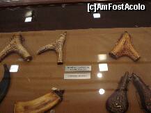 [P06] Sibiu - Muzeul de vanatoare - tocuri pentru praful de pusca » foto by Diaura*
 - 
<span class="allrVoted glyphicon glyphicon-heart hidden" id="av283944"></span>
<a class="m-l-10 hidden" id="sv283944" onclick="voting_Foto_DelVot(,283944,29226)" role="button">șterge vot <span class="glyphicon glyphicon-remove"></span></a>
<a id="v9283944" class=" c-red"  onclick="voting_Foto_SetVot(283944)" role="button"><span class="glyphicon glyphicon-heart-empty"></span> <b>LIKE</b> = Votează poza</a> <img class="hidden"  id="f283944W9" src="/imagini/loader.gif" border="0" /><span class="AjErrMes hidden" id="e283944ErM"></span>