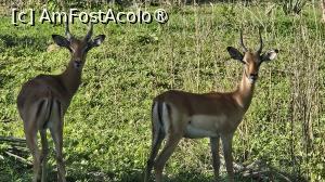 [P44] prin parcul natural » foto by robert
 - 
<span class="allrVoted glyphicon glyphicon-heart hidden" id="av1513792"></span>
<a class="m-l-10 hidden" id="sv1513792" onclick="voting_Foto_DelVot(,1513792,29229)" role="button">șterge vot <span class="glyphicon glyphicon-remove"></span></a>
<a id="v91513792" class=" c-red"  onclick="voting_Foto_SetVot(1513792)" role="button"><span class="glyphicon glyphicon-heart-empty"></span> <b>LIKE</b> = Votează poza</a> <img class="hidden"  id="f1513792W9" src="/imagini/loader.gif" border="0" /><span class="AjErrMes hidden" id="e1513792ErM"></span>