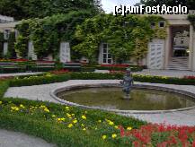 [P19] O zi in Salzburg - Gradinile Mirabell - flori multicolore » foto by irma_ro*
 - 
<span class="allrVoted glyphicon glyphicon-heart hidden" id="av173076"></span>
<a class="m-l-10 hidden" id="sv173076" onclick="voting_Foto_DelVot(,173076,29235)" role="button">șterge vot <span class="glyphicon glyphicon-remove"></span></a>
<a id="v9173076" class=" c-red"  onclick="voting_Foto_SetVot(173076)" role="button"><span class="glyphicon glyphicon-heart-empty"></span> <b>LIKE</b> = Votează poza</a> <img class="hidden"  id="f173076W9" src="/imagini/loader.gif" border="0" /><span class="AjErrMes hidden" id="e173076ErM"></span>