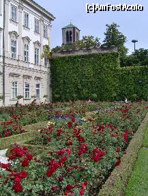 [P22] O zi in Salzburg - Gradinile Mirabell - flori de toate culorile » foto by irma_ro*
 - 
<span class="allrVoted glyphicon glyphicon-heart hidden" id="av173079"></span>
<a class="m-l-10 hidden" id="sv173079" onclick="voting_Foto_DelVot(,173079,29235)" role="button">șterge vot <span class="glyphicon glyphicon-remove"></span></a>
<a id="v9173079" class=" c-red"  onclick="voting_Foto_SetVot(173079)" role="button"><span class="glyphicon glyphicon-heart-empty"></span> <b>LIKE</b> = Votează poza</a> <img class="hidden"  id="f173079W9" src="/imagini/loader.gif" border="0" /><span class="AjErrMes hidden" id="e173079ErM"></span>