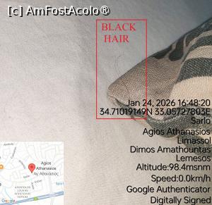 [P15] Alt pat, mai mult par » foto by Om bun
 - 
<span class="allrVoted glyphicon glyphicon-heart hidden" id="av1516740"></span>
<a class="m-l-10 hidden" id="sv1516740" onclick="voting_Foto_DelVot(,1516740,29241)" role="button">șterge vot <span class="glyphicon glyphicon-remove"></span></a>
<a id="v91516740" class=" c-red"  onclick="voting_Foto_SetVot(1516740)" role="button"><span class="glyphicon glyphicon-heart-empty"></span> <b>LIKE</b> = Votează poza</a> <img class="hidden"  id="f1516740W9" src="/imagini/loader.gif" border="0" /><span class="AjErrMes hidden" id="e1516740ErM"></span>