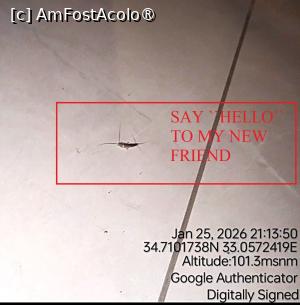 [P16] Mi-am făcut prieteni noi. Problema e ca fugeau de mine când aprindeam lumina » foto by Om bun
 - 
<span class="allrVoted glyphicon glyphicon-heart hidden" id="av1516741"></span>
<a class="m-l-10 hidden" id="sv1516741" onclick="voting_Foto_DelVot(,1516741,29241)" role="button">șterge vot <span class="glyphicon glyphicon-remove"></span></a>
<a id="v91516741" class=" c-red"  onclick="voting_Foto_SetVot(1516741)" role="button"><span class="glyphicon glyphicon-heart-empty"></span> <b>LIKE</b> = Votează poza</a> <img class="hidden"  id="f1516741W9" src="/imagini/loader.gif" border="0" /><span class="AjErrMes hidden" id="e1516741ErM"></span>