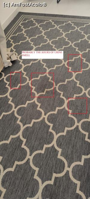 [P17] Cel mai probabil de aici mirosea a pisu » foto by Om bun
 - 
<span class="allrVoted glyphicon glyphicon-heart hidden" id="av1516742"></span>
<a class="m-l-10 hidden" id="sv1516742" onclick="voting_Foto_DelVot(,1516742,29241)" role="button">șterge vot <span class="glyphicon glyphicon-remove"></span></a>
<a id="v91516742" class=" c-red"  onclick="voting_Foto_SetVot(1516742)" role="button"><span class="glyphicon glyphicon-heart-empty"></span> <b>LIKE</b> = Votează poza</a> <img class="hidden"  id="f1516742W9" src="/imagini/loader.gif" border="0" /><span class="AjErrMes hidden" id="e1516742ErM"></span>