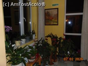 [P17] pensiune Limpedea, hol cu multe tablouri si flori » foto by Yolanda
 - 
<span class="allrVoted glyphicon glyphicon-heart hidden" id="av1518275"></span>
<a class="m-l-10 hidden" id="sv1518275" onclick="voting_Foto_DelVot(,1518275,29255)" role="button">șterge vot <span class="glyphicon glyphicon-remove"></span></a>
<a id="v91518275" class=" c-red"  onclick="voting_Foto_SetVot(1518275)" role="button"><span class="glyphicon glyphicon-heart-empty"></span> <b>LIKE</b> = Votează poza</a> <img class="hidden"  id="f1518275W9" src="/imagini/loader.gif" border="0" /><span class="AjErrMes hidden" id="e1518275ErM"></span>