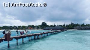 [P18] Sun Siyam Olhuveli » foto by elenaadina
 - 
<span class="allrVoted glyphicon glyphicon-heart hidden" id="av1518321"></span>
<a class="m-l-10 hidden" id="sv1518321" onclick="voting_Foto_DelVot(,1518321,29256)" role="button">șterge vot <span class="glyphicon glyphicon-remove"></span></a>
<a id="v91518321" class=" c-red"  onclick="voting_Foto_SetVot(1518321)" role="button"><span class="glyphicon glyphicon-heart-empty"></span> <b>LIKE</b> = Votează poza</a> <img class="hidden"  id="f1518321W9" src="/imagini/loader.gif" border="0" /><span class="AjErrMes hidden" id="e1518321ErM"></span>