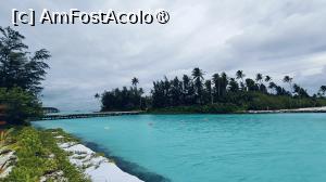 [P37]  -- <small>// FĂRĂ DESCRIERE</small> » foto by elenaadina
 - 
<span class="allrVoted glyphicon glyphicon-heart hidden" id="av1518340"></span>
<a class="m-l-10 hidden" id="sv1518340" onclick="voting_Foto_DelVot(,1518340,29256)" role="button">șterge vot <span class="glyphicon glyphicon-remove"></span></a>
<a id="v91518340" class=" c-red"  onclick="voting_Foto_SetVot(1518340)" role="button"><span class="glyphicon glyphicon-heart-empty"></span> <b>LIKE</b> = Votează poza</a> <img class="hidden"  id="f1518340W9" src="/imagini/loader.gif" border="0" /><span class="AjErrMes hidden" id="e1518340ErM"></span>