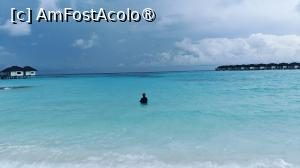 [P46]  -- <small>// FĂRĂ DESCRIERE</small> » foto by elenaadina
 - 
<span class="allrVoted glyphicon glyphicon-heart hidden" id="av1518349"></span>
<a class="m-l-10 hidden" id="sv1518349" onclick="voting_Foto_DelVot(,1518349,29256)" role="button">șterge vot <span class="glyphicon glyphicon-remove"></span></a>
<a id="v91518349" class=" c-red"  onclick="voting_Foto_SetVot(1518349)" role="button"><span class="glyphicon glyphicon-heart-empty"></span> <b>LIKE</b> = Votează poza</a> <img class="hidden"  id="f1518349W9" src="/imagini/loader.gif" border="0" /><span class="AjErrMes hidden" id="e1518349ErM"></span>