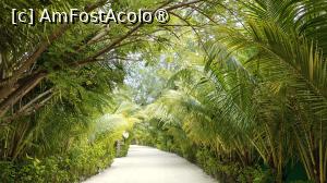 [P05] Sun Siyam Olhuveli » foto by elenaadina
 - 
<span class="allrVoted glyphicon glyphicon-heart hidden" id="av1518308"></span>
<a class="m-l-10 hidden" id="sv1518308" onclick="voting_Foto_DelVot(,1518308,29256)" role="button">șterge vot <span class="glyphicon glyphicon-remove"></span></a>
<a id="v91518308" class=" c-red"  onclick="voting_Foto_SetVot(1518308)" role="button"><span class="glyphicon glyphicon-heart-empty"></span> <b>LIKE</b> = Votează poza</a> <img class="hidden"  id="f1518308W9" src="/imagini/loader.gif" border="0" /><span class="AjErrMes hidden" id="e1518308ErM"></span>