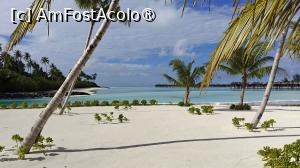 [P50]  -- <small>// FĂRĂ DESCRIERE</small> » foto by elenaadina
 - 
<span class="allrVoted glyphicon glyphicon-heart hidden" id="av1518353"></span>
<a class="m-l-10 hidden" id="sv1518353" onclick="voting_Foto_DelVot(,1518353,29256)" role="button">șterge vot <span class="glyphicon glyphicon-remove"></span></a>
<a id="v91518353" class=" c-red"  onclick="voting_Foto_SetVot(1518353)" role="button"><span class="glyphicon glyphicon-heart-empty"></span> <b>LIKE</b> = Votează poza</a> <img class="hidden"  id="f1518353W9" src="/imagini/loader.gif" border="0" /><span class="AjErrMes hidden" id="e1518353ErM"></span>