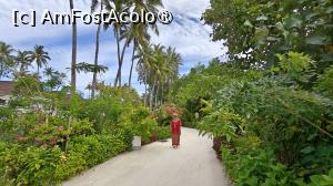 [P06] Sun Siyam Olhuveli » foto by elenaadina
 - 
<span class="allrVoted glyphicon glyphicon-heart hidden" id="av1518309"></span>
<a class="m-l-10 hidden" id="sv1518309" onclick="voting_Foto_DelVot(,1518309,29256)" role="button">șterge vot <span class="glyphicon glyphicon-remove"></span></a>
<a id="v91518309" class=" c-red"  onclick="voting_Foto_SetVot(1518309)" role="button"><span class="glyphicon glyphicon-heart-empty"></span> <b>LIKE</b> = Votează poza</a> <img class="hidden"  id="f1518309W9" src="/imagini/loader.gif" border="0" /><span class="AjErrMes hidden" id="e1518309ErM"></span>