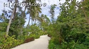 [P61]  -- <small>// FĂRĂ DESCRIERE</small> » foto by elenaadina
 - 
<span class="allrVoted glyphicon glyphicon-heart hidden" id="av1518364"></span>
<a class="m-l-10 hidden" id="sv1518364" onclick="voting_Foto_DelVot(,1518364,29256)" role="button">șterge vot <span class="glyphicon glyphicon-remove"></span></a>
<a id="v91518364" class=" c-red"  onclick="voting_Foto_SetVot(1518364)" role="button"><span class="glyphicon glyphicon-heart-empty"></span> <b>LIKE</b> = Votează poza</a> <img class="hidden"  id="f1518364W9" src="/imagini/loader.gif" border="0" /><span class="AjErrMes hidden" id="e1518364ErM"></span>