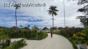 [P62]  -- <small>// FĂRĂ DESCRIERE</small> » foto by elenaadina
 - 
<span class="allrVoted glyphicon glyphicon-heart hidden" id="av1518365"></span>
<a class="m-l-10 hidden" id="sv1518365" onclick="voting_Foto_DelVot(,1518365,29256)" role="button">șterge vot <span class="glyphicon glyphicon-remove"></span></a>
<a id="v91518365" class=" c-red"  onclick="voting_Foto_SetVot(1518365)" role="button"><span class="glyphicon glyphicon-heart-empty"></span> <b>LIKE</b> = Votează poza</a> <img class="hidden"  id="f1518365W9" src="/imagini/loader.gif" border="0" /><span class="AjErrMes hidden" id="e1518365ErM"></span>