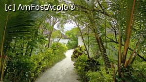 [P65]  -- <small>// FĂRĂ DESCRIERE</small> » foto by elenaadina
 - 
<span class="allrVoted glyphicon glyphicon-heart hidden" id="av1518368"></span>
<a class="m-l-10 hidden" id="sv1518368" onclick="voting_Foto_DelVot(,1518368,29256)" role="button">șterge vot <span class="glyphicon glyphicon-remove"></span></a>
<a id="v91518368" class=" c-red"  onclick="voting_Foto_SetVot(1518368)" role="button"><span class="glyphicon glyphicon-heart-empty"></span> <b>LIKE</b> = Votează poza</a> <img class="hidden"  id="f1518368W9" src="/imagini/loader.gif" border="0" /><span class="AjErrMes hidden" id="e1518368ErM"></span>