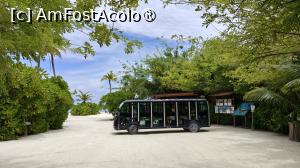 [P72]  -- <small>// FĂRĂ DESCRIERE</small> » foto by elenaadina
 - 
<span class="allrVoted glyphicon glyphicon-heart hidden" id="av1518375"></span>
<a class="m-l-10 hidden" id="sv1518375" onclick="voting_Foto_DelVot(,1518375,29256)" role="button">șterge vot <span class="glyphicon glyphicon-remove"></span></a>
<a id="v91518375" class=" c-red"  onclick="voting_Foto_SetVot(1518375)" role="button"><span class="glyphicon glyphicon-heart-empty"></span> <b>LIKE</b> = Votează poza</a> <img class="hidden"  id="f1518375W9" src="/imagini/loader.gif" border="0" /><span class="AjErrMes hidden" id="e1518375ErM"></span>