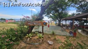 [P59] pe la plajă » foto by robert
 - 
<span class="allrVoted glyphicon glyphicon-heart hidden" id="av1520428"></span>
<a class="m-l-10 hidden" id="sv1520428" onclick="voting_Foto_DelVot(,1520428,29275)" role="button">șterge vot <span class="glyphicon glyphicon-remove"></span></a>
<a id="v91520428" class=" c-red"  onclick="voting_Foto_SetVot(1520428)" role="button"><span class="glyphicon glyphicon-heart-empty"></span> <b>LIKE</b> = Votează poza</a> <img class="hidden"  id="f1520428W9" src="/imagini/loader.gif" border="0" /><span class="AjErrMes hidden" id="e1520428ErM"></span>