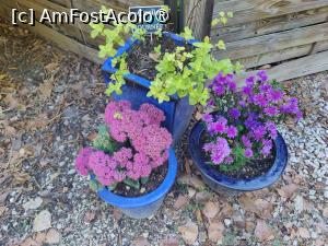 [P31] Decor exterior » foto by crismis
 - 
<span class="allrVoted glyphicon glyphicon-heart hidden" id="av1522459"></span>
<a class="m-l-10 hidden" id="sv1522459" onclick="voting_Foto_DelVot(,1522459,29284)" role="button">șterge vot <span class="glyphicon glyphicon-remove"></span></a>
<a id="v91522459" class=" c-red"  onclick="voting_Foto_SetVot(1522459)" role="button"><span class="glyphicon glyphicon-heart-empty"></span> <b>LIKE</b> = Votează poza</a> <img class="hidden"  id="f1522459W9" src="/imagini/loader.gif" border="0" /><span class="AjErrMes hidden" id="e1522459ErM"></span>