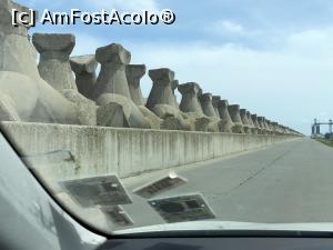 [P24] cu amsina pe digul de nord » foto by Dan&Ema
 - 
<span class="allrVoted glyphicon glyphicon-heart hidden" id="av997112"></span>
<a class="m-l-10 hidden" id="sv997112" onclick="voting_Foto_DelVot(,997112,29287)" role="button">șterge vot <span class="glyphicon glyphicon-remove"></span></a>
<a id="v9997112" class=" c-red"  onclick="voting_Foto_SetVot(997112)" role="button"><span class="glyphicon glyphicon-heart-empty"></span> <b>LIKE</b> = Votează poza</a> <img class="hidden"  id="f997112W9" src="/imagini/loader.gif" border="0" /><span class="AjErrMes hidden" id="e997112ErM"></span>