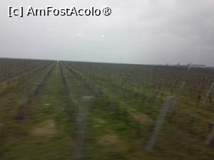 [P56] plantatiile de vita de vie » foto by Yolanda
 - 
<span class="allrVoted glyphicon glyphicon-heart hidden" id="av1524480"></span>
<a class="m-l-10 hidden" id="sv1524480" onclick="voting_Foto_DelVot(,1524480,29294)" role="button">șterge vot <span class="glyphicon glyphicon-remove"></span></a>
<a id="v91524480" class=" c-red"  onclick="voting_Foto_SetVot(1524480)" role="button"><span class="glyphicon glyphicon-heart-empty"></span> <b>LIKE</b> = Votează poza</a> <img class="hidden"  id="f1524480W9" src="/imagini/loader.gif" border="0" /><span class="AjErrMes hidden" id="e1524480ErM"></span>