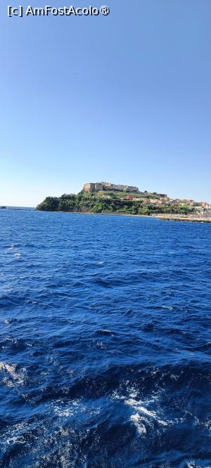 [P01] Ne apropiem de insula Procida. » foto by tata123 🔱
 - 
<span class="allrVoted glyphicon glyphicon-heart hidden" id="av1527298"></span>
<a class="m-l-10 hidden" id="sv1527298" onclick="voting_Foto_DelVot(,1527298,29318)" role="button">șterge vot <span class="glyphicon glyphicon-remove"></span></a>
<a id="v91527298" class=" c-red"  onclick="voting_Foto_SetVot(1527298)" role="button"><span class="glyphicon glyphicon-heart-empty"></span> <b>LIKE</b> = Votează poza</a> <img class="hidden"  id="f1527298W9" src="/imagini/loader.gif" border="0" /><span class="AjErrMes hidden" id="e1527298ErM"></span>