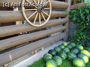 [P07]  -- <small>// FĂRĂ DESCRIERE</small> » foto by biancadd
 - 
<span class="allrVoted glyphicon glyphicon-heart hidden" id="av990255"></span>
<a class="m-l-10 hidden" id="sv990255" onclick="voting_Foto_DelVot(,990255,29384)" role="button">șterge vot <span class="glyphicon glyphicon-remove"></span></a>
<a id="v9990255" class=" c-red"  onclick="voting_Foto_SetVot(990255)" role="button"><span class="glyphicon glyphicon-heart-empty"></span> <b>LIKE</b> = Votează poza</a> <img class="hidden"  id="f990255W9" src="/imagini/loader.gif" border="0" /><span class="AjErrMes hidden" id="e990255ErM"></span>