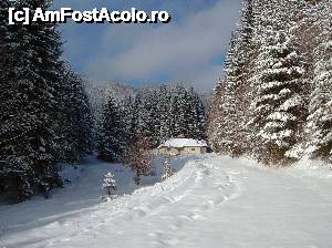 fotografii din vacanta la Cabana Pietricica