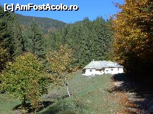 fotografii din vacanta la Cabana Pietricica