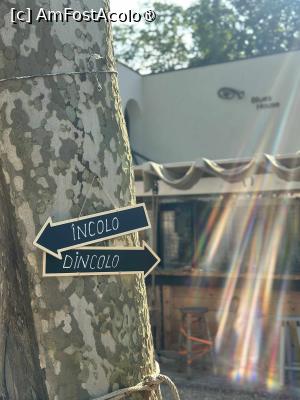 [P05 <small>[FOTO OFICIALĂ, DE PREZENTARE:] </small>] Am fost încolo...am fost dincolo..